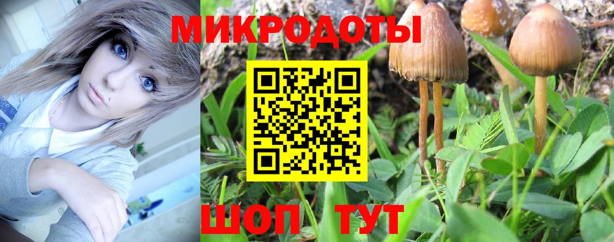 Псилоцибиновые грибы прущие грибы Грязи